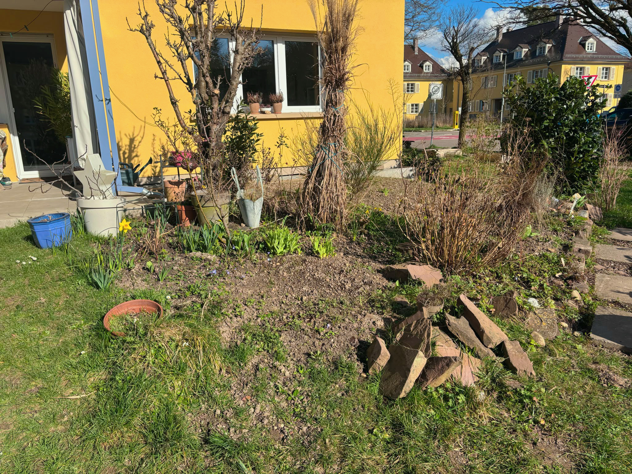 Beet vor der Neuanlage